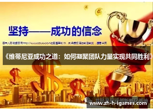《维蒂尼亚成功之道：如何凝聚团队力量实现共同胜利》