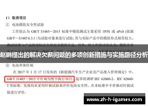 赵鹏提出的解决欠薪问题的多项创新措施与实施路径分析