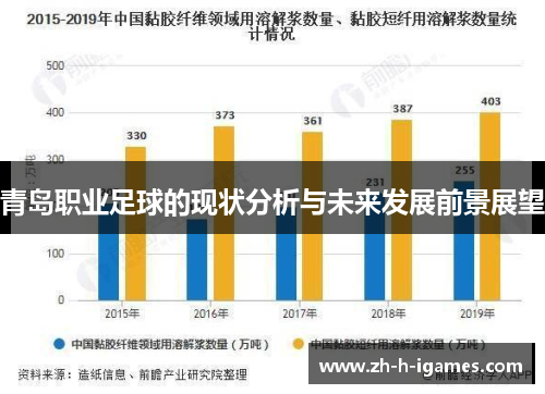 青岛职业足球的现状分析与未来发展前景展望